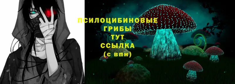 Псилоцибиновые грибы Magic Shrooms  цена   Заволжье 